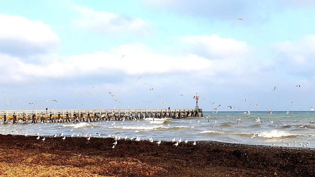 Hotel De Paris Courseulles-sur-Mer Exteriör bild